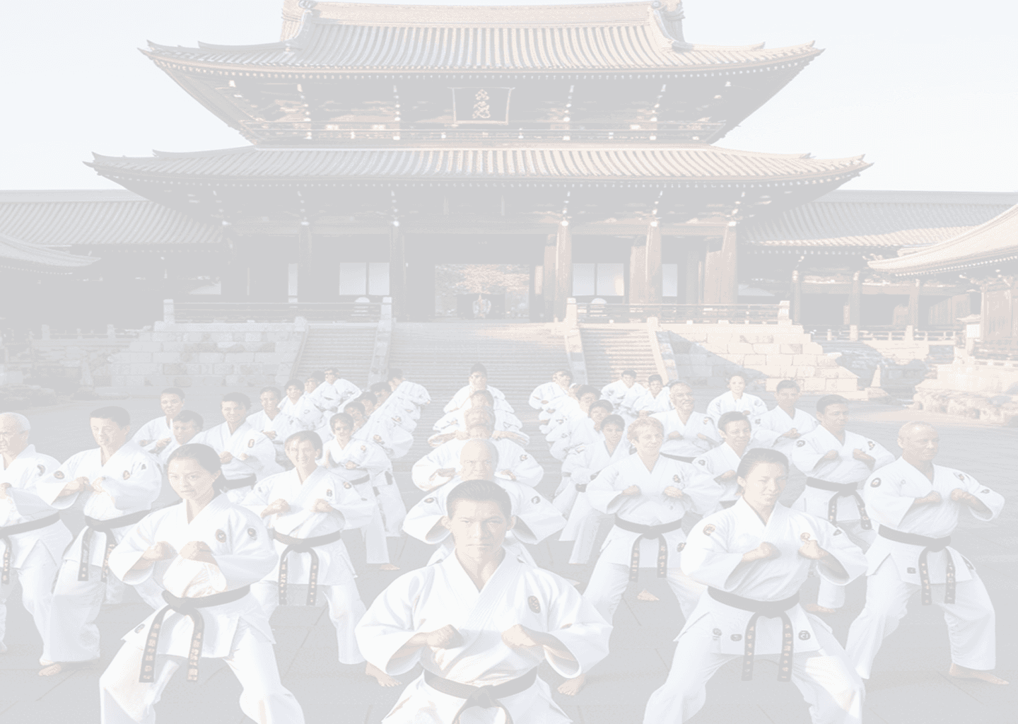 HISTORIA DEL KARATE-DO background