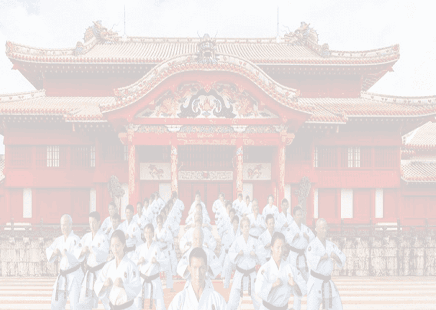 DETALLES DE ALGUNOS PUNTOS IMPORTANTES, QUE HACEN A LA PRÁCTICA DEL KARATE DO background