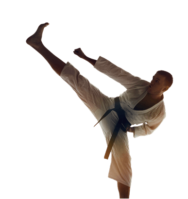Karate fighter silhouette