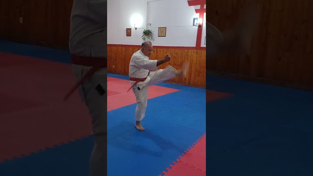 KATA ROKUDAN