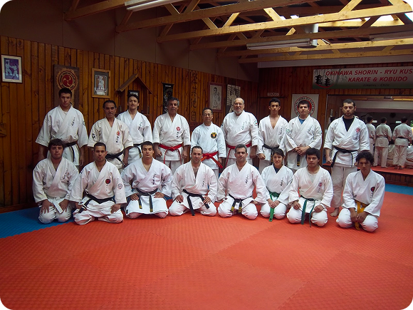 Grupo de karate